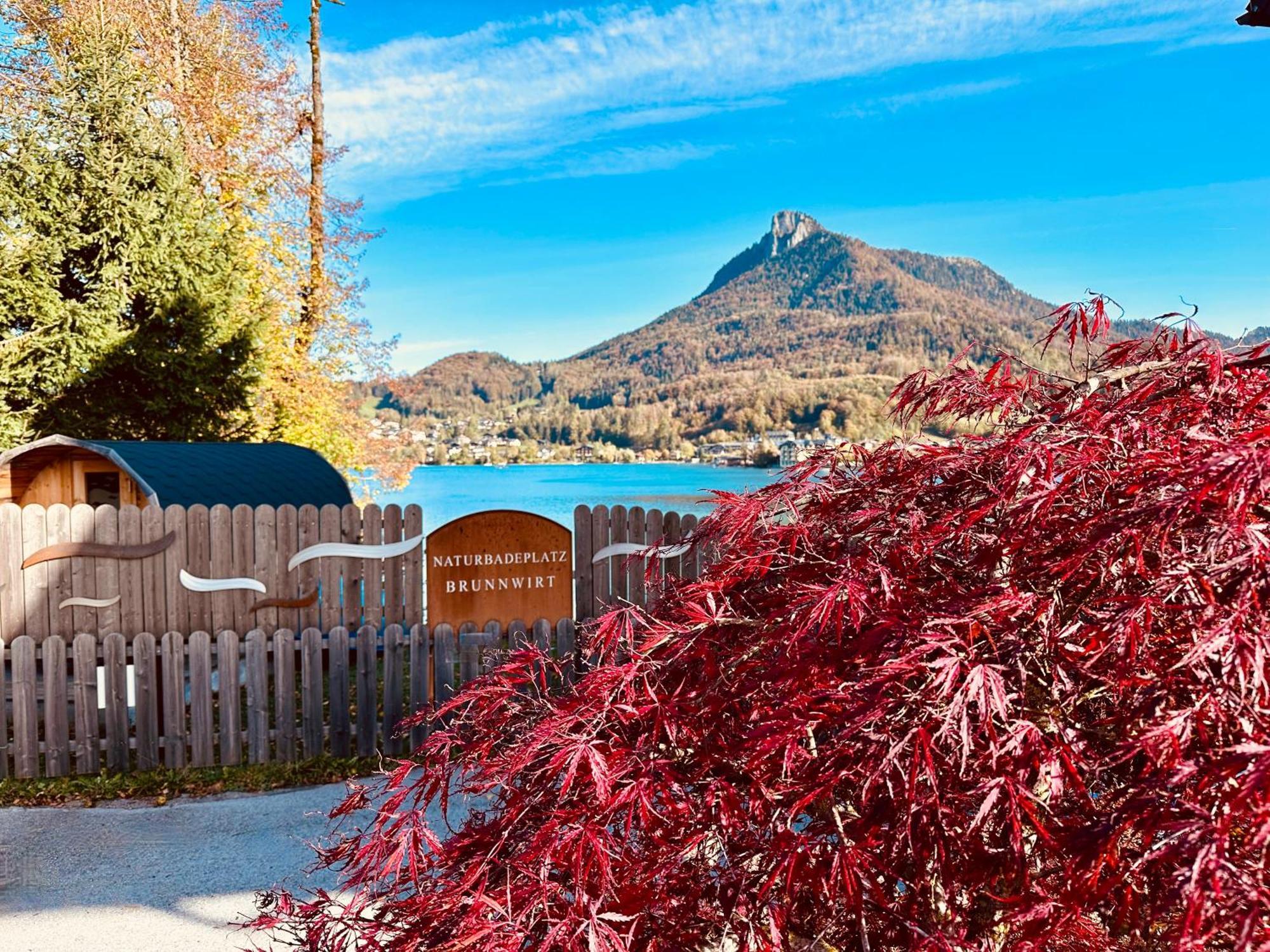 Brunnwirt Essen & Wohnen Daire Fuschl am See Dış mekan fotoğraf