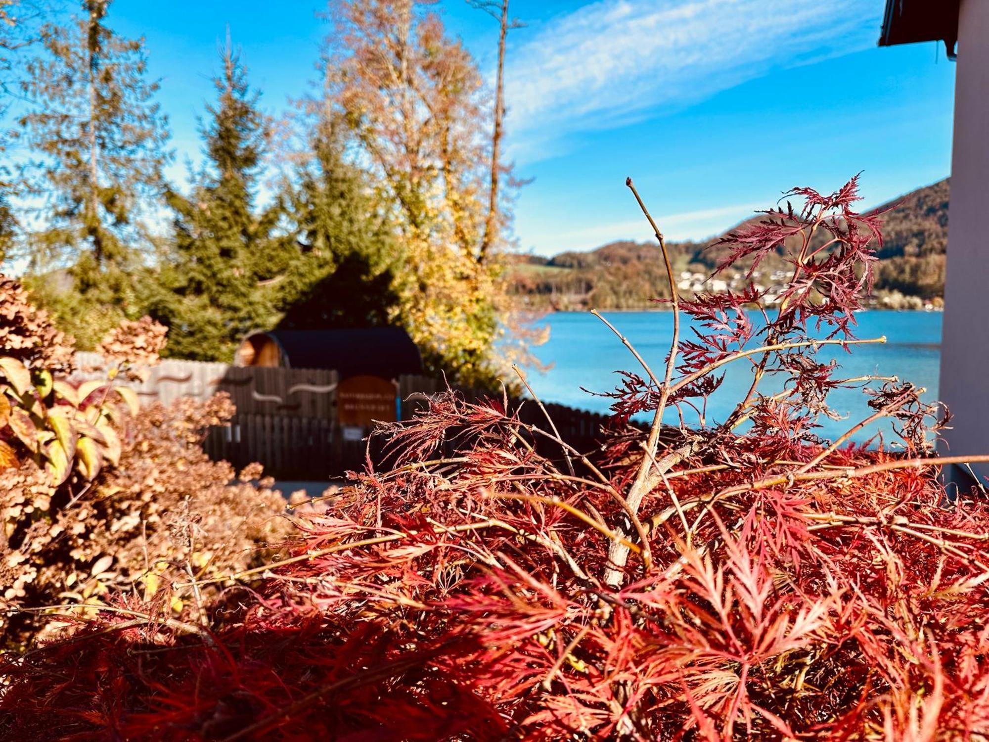 Brunnwirt Essen & Wohnen Daire Fuschl am See Dış mekan fotoğraf