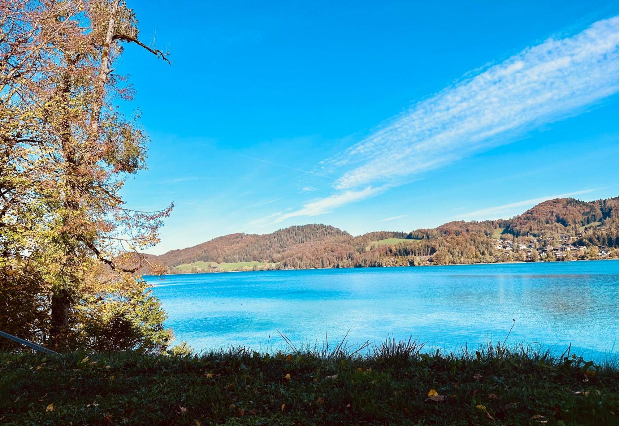 Brunnwirt Essen & Wohnen Daire Fuschl am See Dış mekan fotoğraf